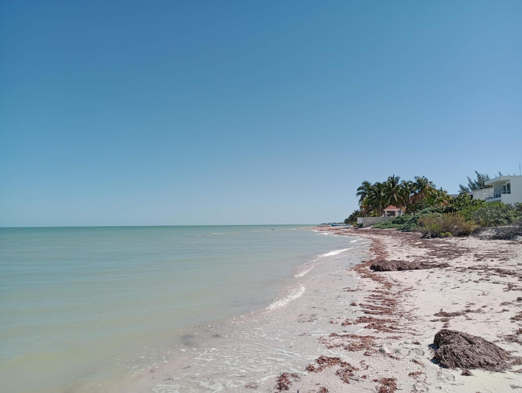 Tropical paradise beach